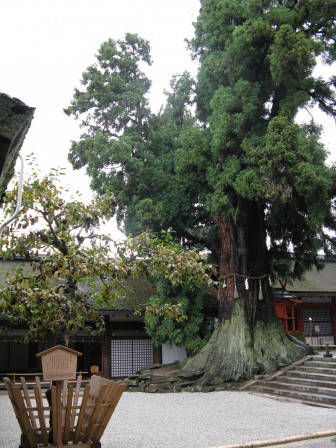 img56.JPG, juil. 2012 img56.JPG