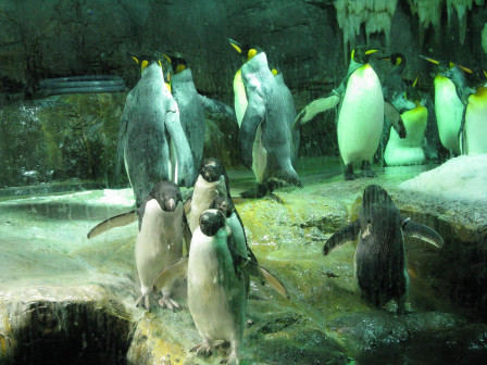 img87.JPG, juil. 2012 img87.JPG