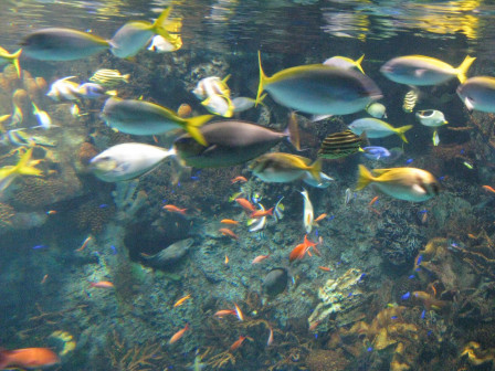 img88.JPG, juil. 2012 img88.JPG