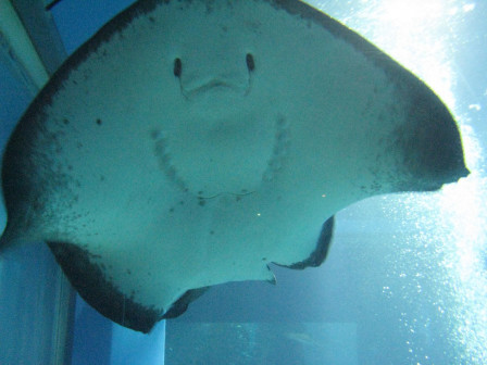 img89.JPG, juil. 2012 img89.JPG