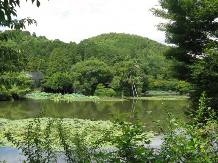 img93.JPG, juil. 2012 img93.JPG