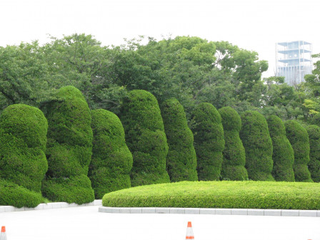 img99.JPG, juil. 2012 img99.JPG